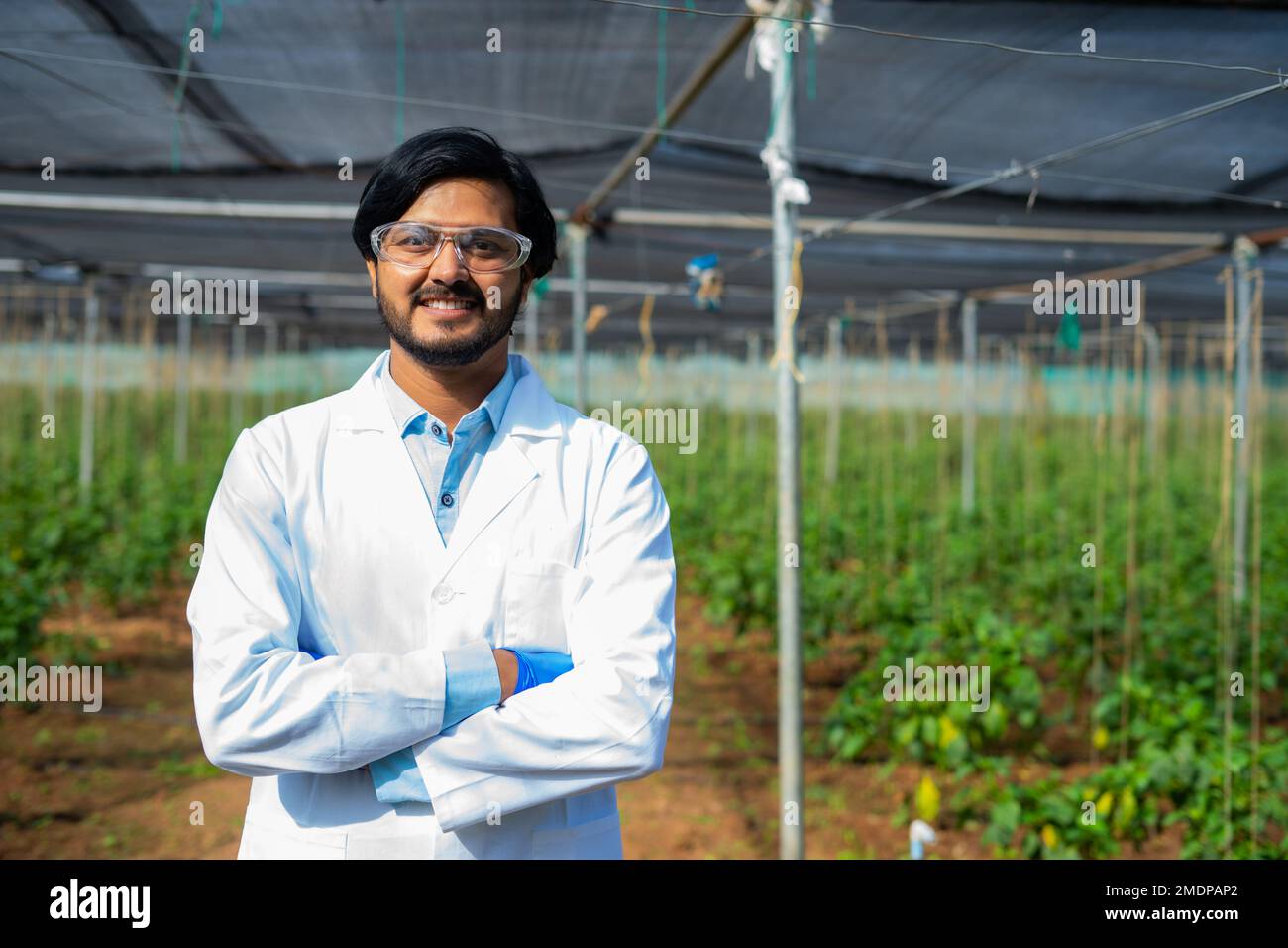 Confident agro scientist standing with crossed arms by looking at camera at greenhouse - concept of occupation, surveillance and monitoring Stock Photo