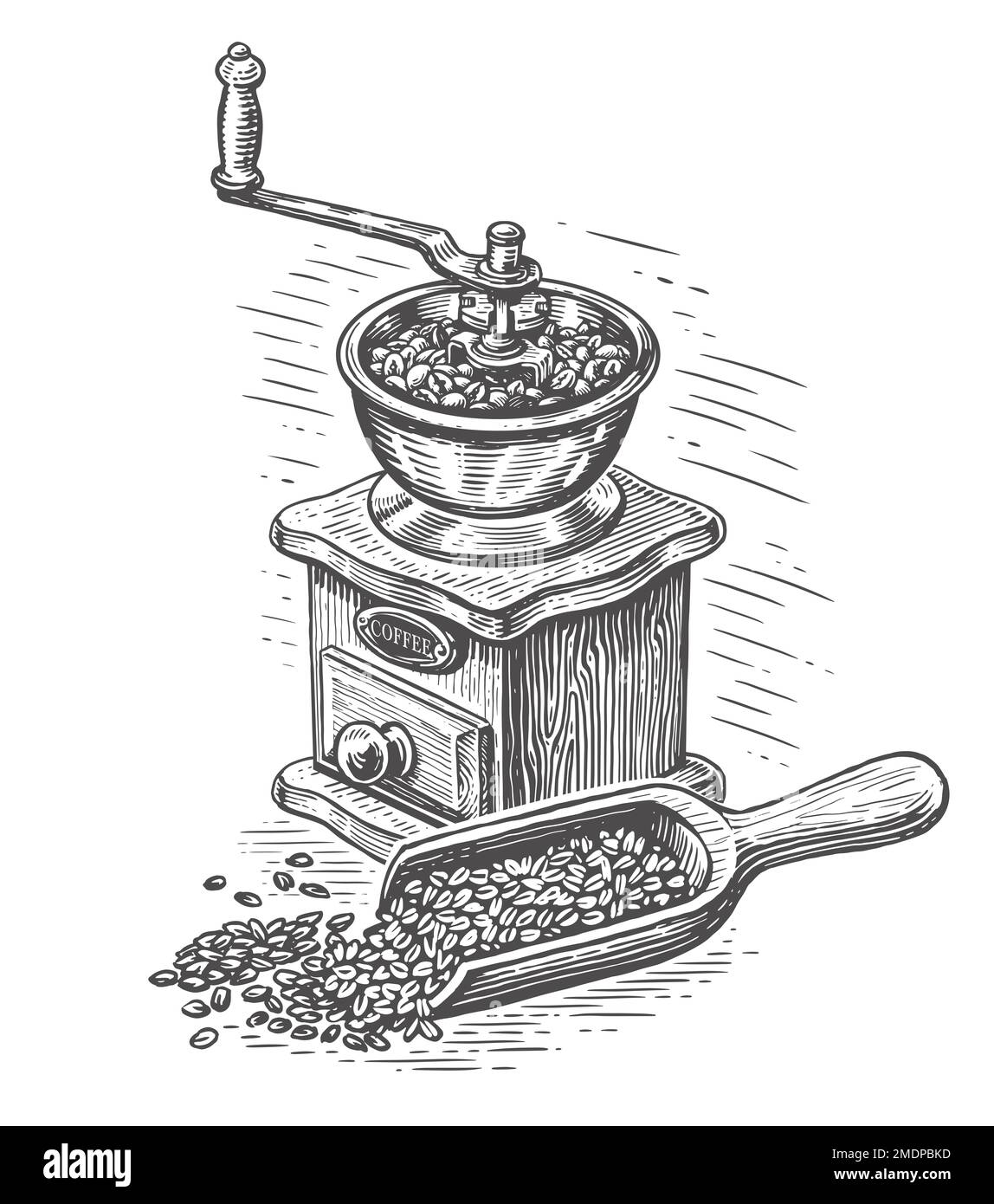 Hand drawn retro coffee grinder with coffee beans. Vintage sketch illustration for cafe menu or coffee shop  Stock Photo