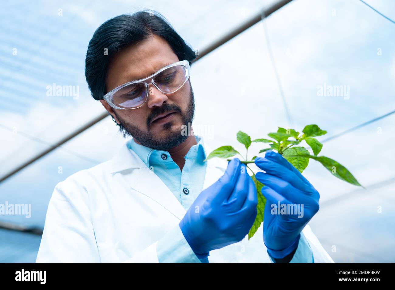 Indian medical research hi-res stock photography and images - Alamy