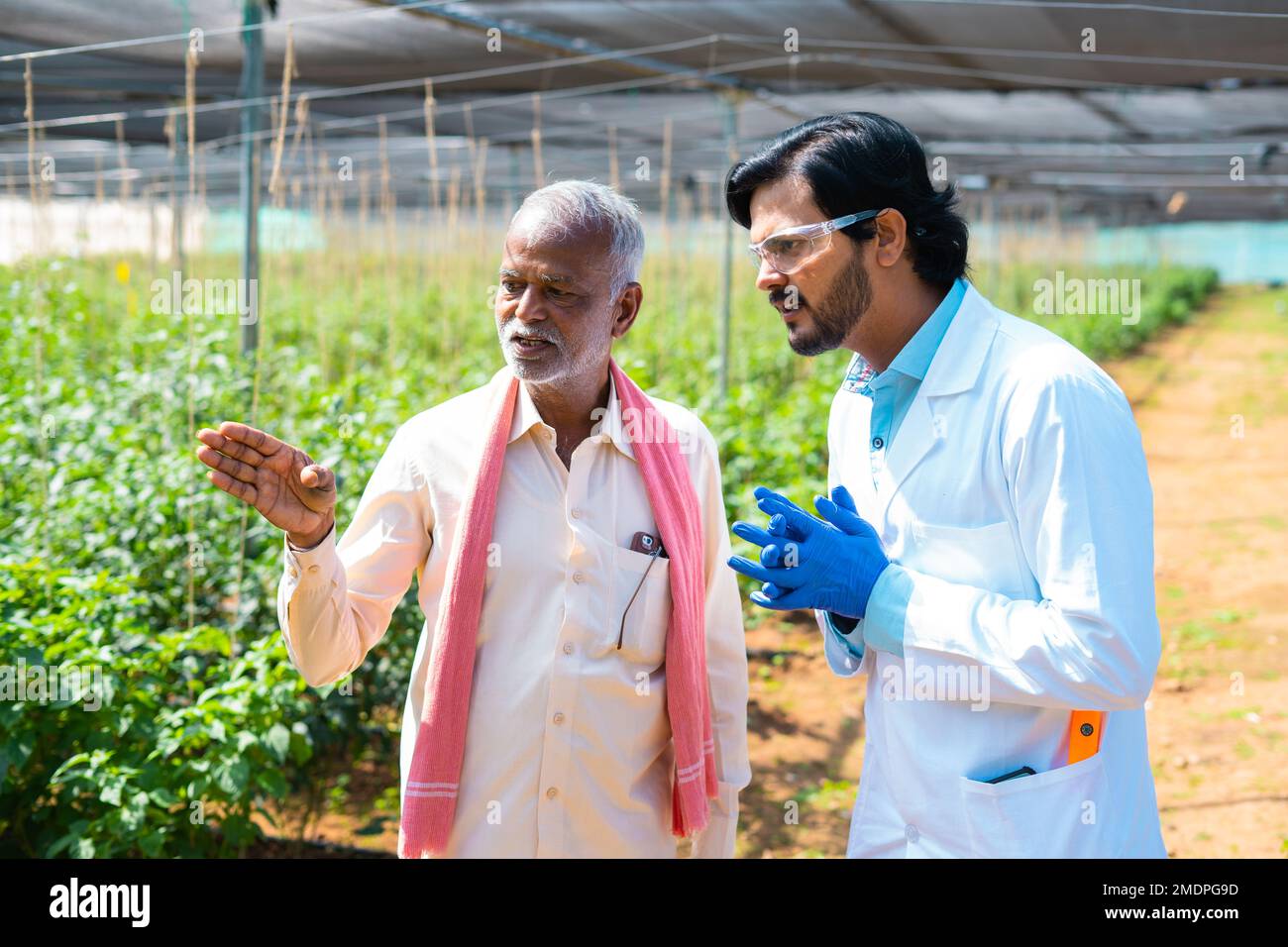 Agro scientist with farmer discussing about plantation growth at green house - concept of cooperation, growth and technology. Stock Photo