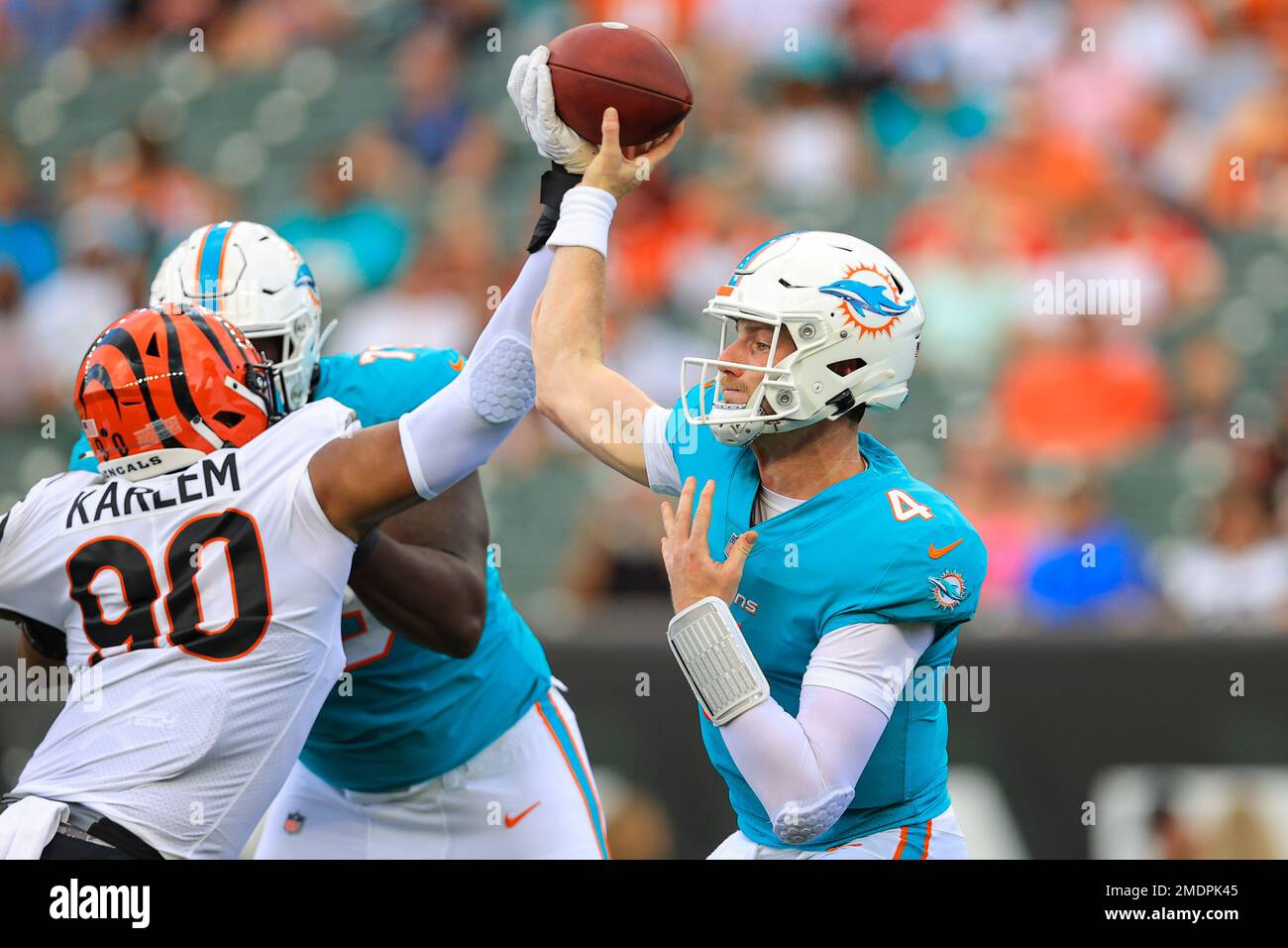 Miami Dolphins' quarterback Reid Sinnett (4) drops back against the  Cincinnati Bengals during an NFL preseason football game in Cincinnati,  Sunday, Aug. 29, 2021. The Dolphins won 29-26. (AP Photo/Aaron Doster Stock  Photo - Alamy