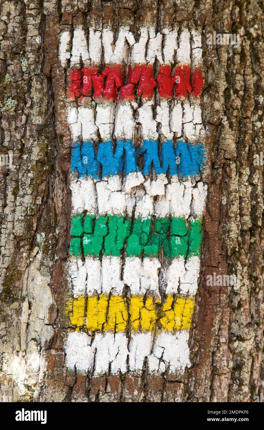 red yellow green and blue tourists signs symbols is used in Czech republic marked on tree trunk background Stock Photo