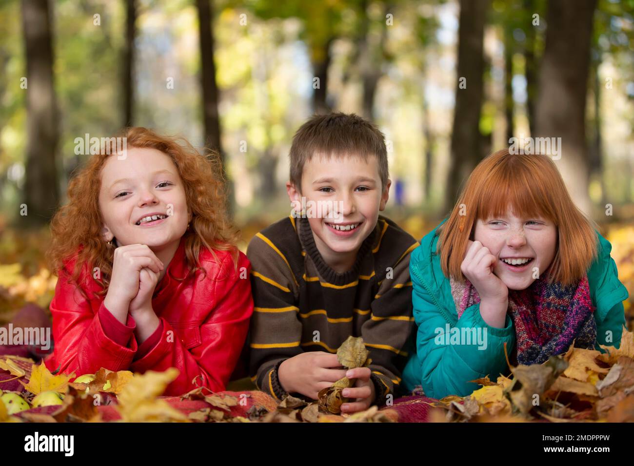 Beautiful happy children lying on the leaves in the autumn park Stock ...