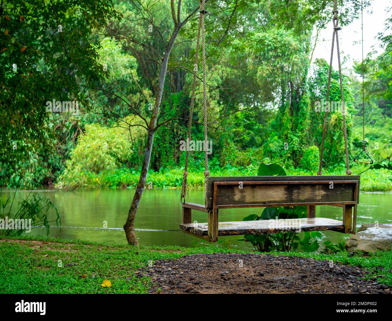 Back view of a empty alone wooden swing hanging on the big tree over the stream on the green forest background, relaxing place. Hanging bench chair se Stock Photo