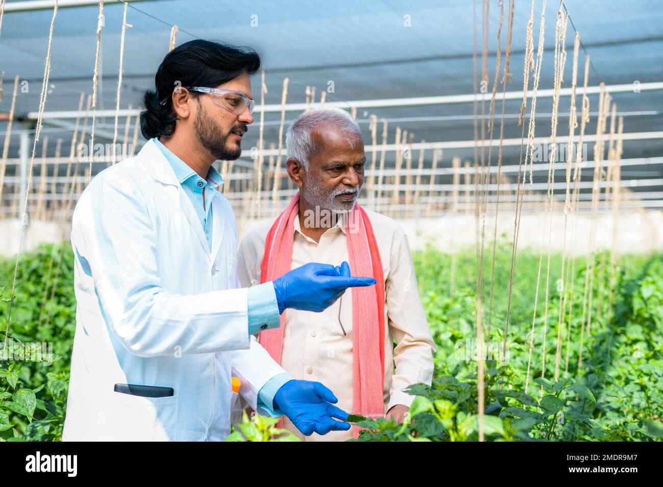 agro scientist with farmer discussing about plantation growth at green house - concept of cooperation, growth and technology. Stock Photo