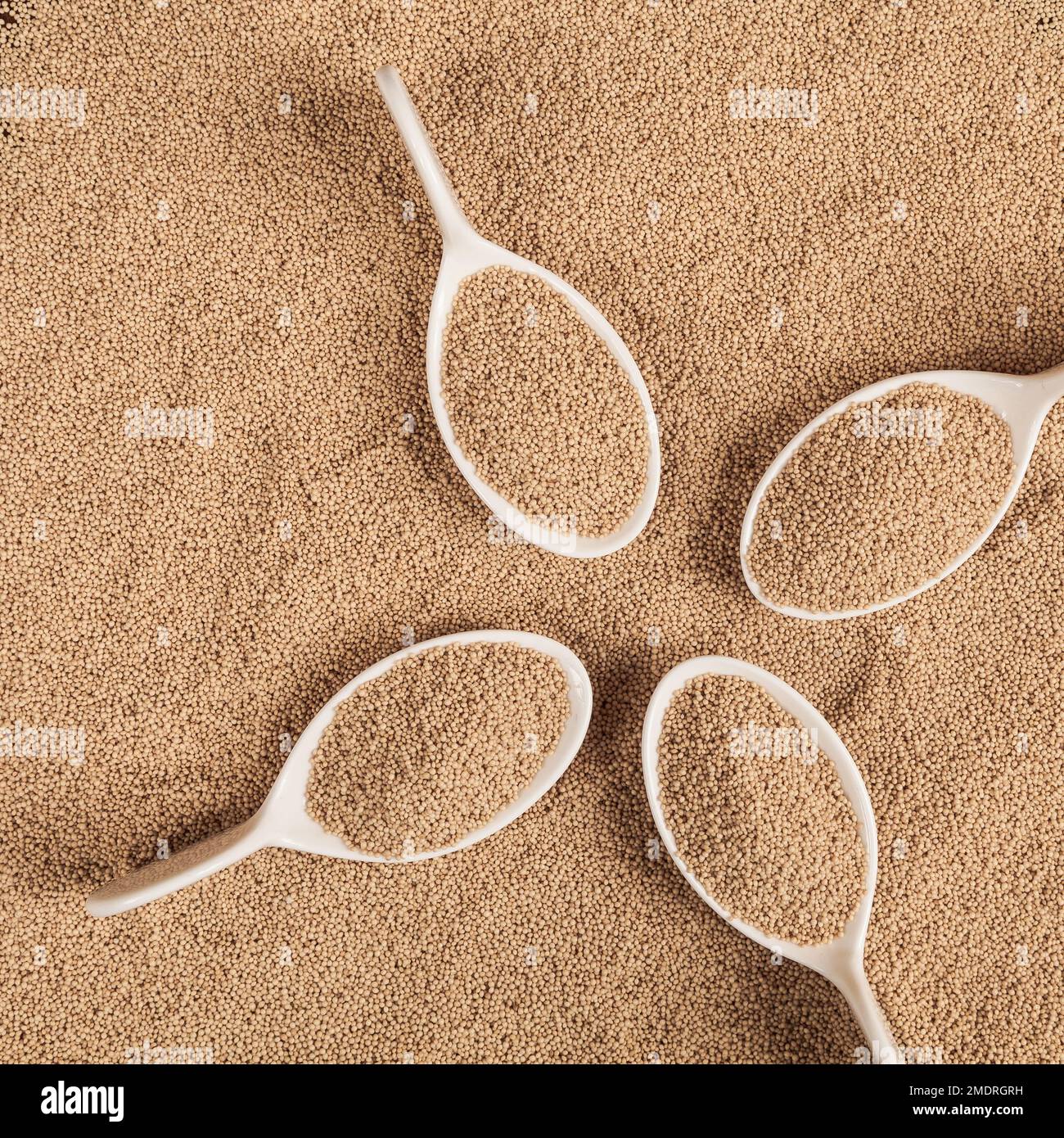Raw Organic Amaranth Grain Amaranthus Stock Photo Alamy