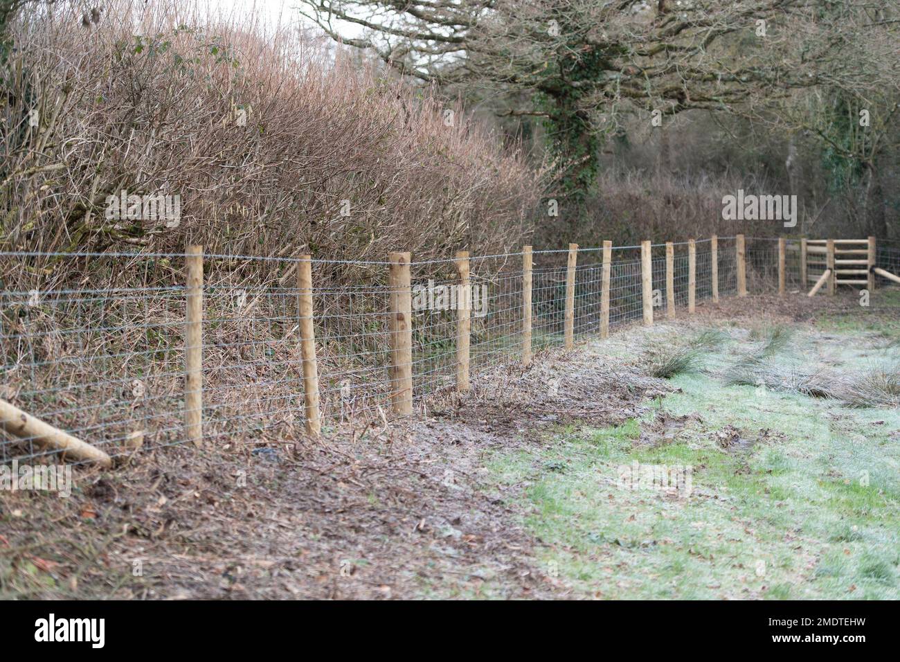 new fencing in a field Stock Photo