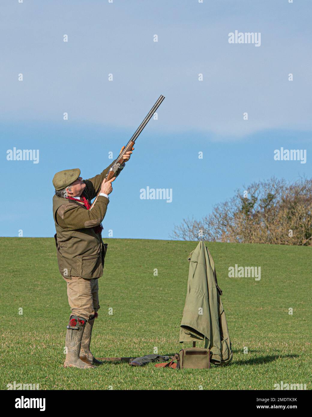 Male and female pheasants hi-res stock photography and images - Alamy