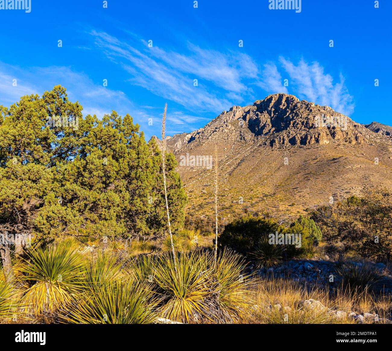 The Foothills of The Guadalupe Mountains Below Hunters Peak at Pine Springs, Guadalupe Mountains, National Park, Texas, USA Stock Photo