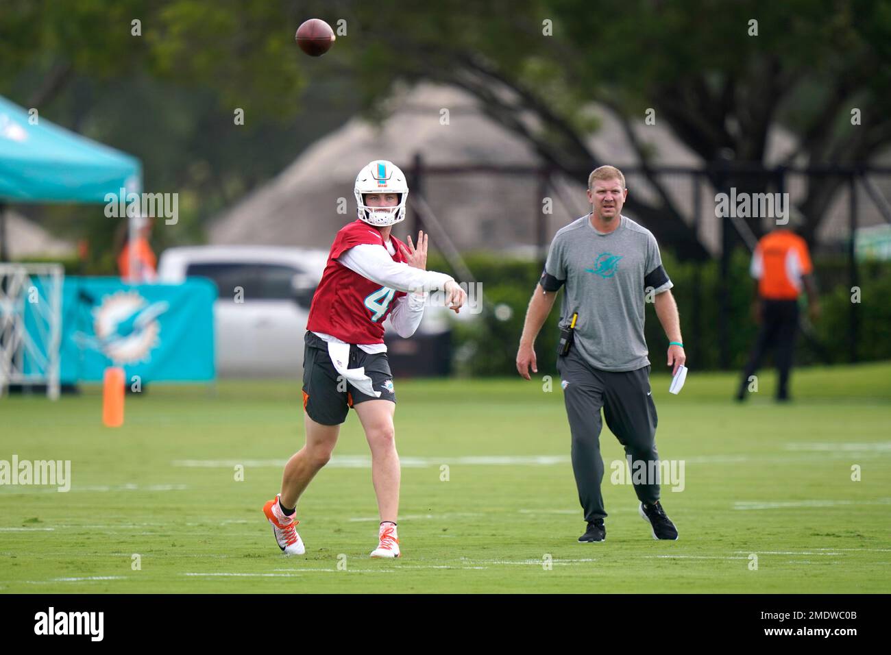 Miami Dolphins quarterback Reid Sinnett (4) watches a video replay on the  board during an NFL football game against the Cincinnati Bengals, Sunday,  Aug. 29, 2021, in Cincinnati. (AP Photo/Zach Bolinger Stock