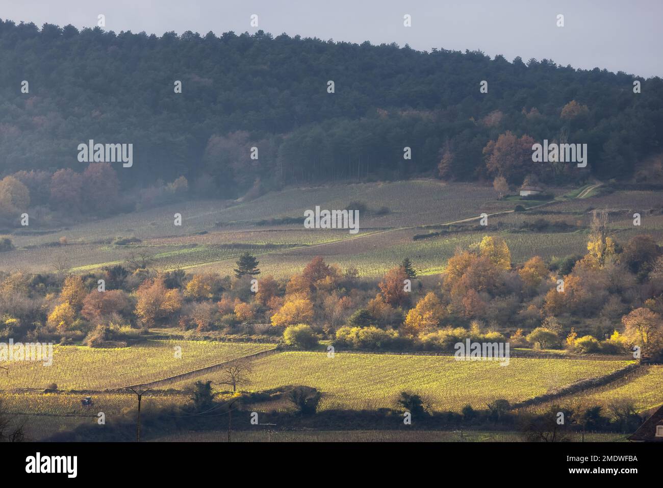 Farm Lands on top of a hill in countryside. France, Europe Stock Photo ...