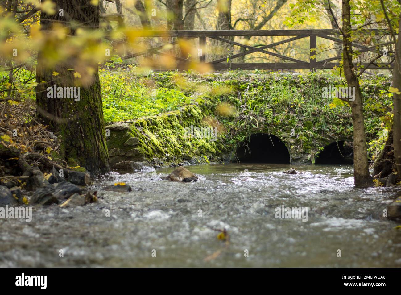 Stone bridge in rock creek park hi-res stock photography and images - Alamy