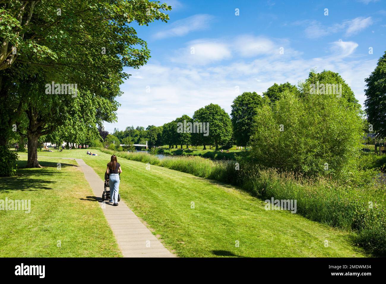 A young woman with pram walks through Tweed Green, beside the River