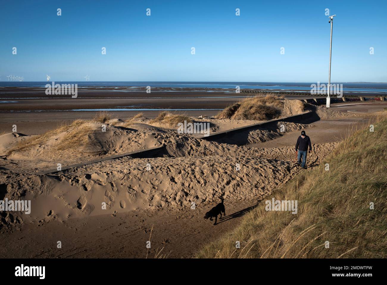 A man walking his dog navigates past sand displaced by wind and storms at between New Brighton and Leasowe bay, Wirral, north west England. The locati Stock Photo