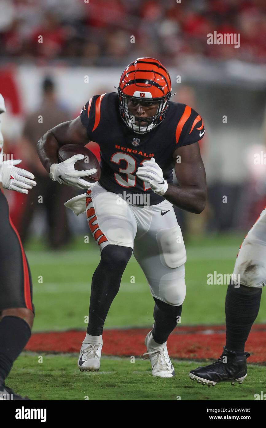 Arizona Cardinals safety Tae Daley (48) in action as the Arizona Cardinals  played the Cincinnati Bengals in an NFL football preseason game in  Cincinnati, Friday, Aug. 12, 2022. The Cardinals won 36-23. (