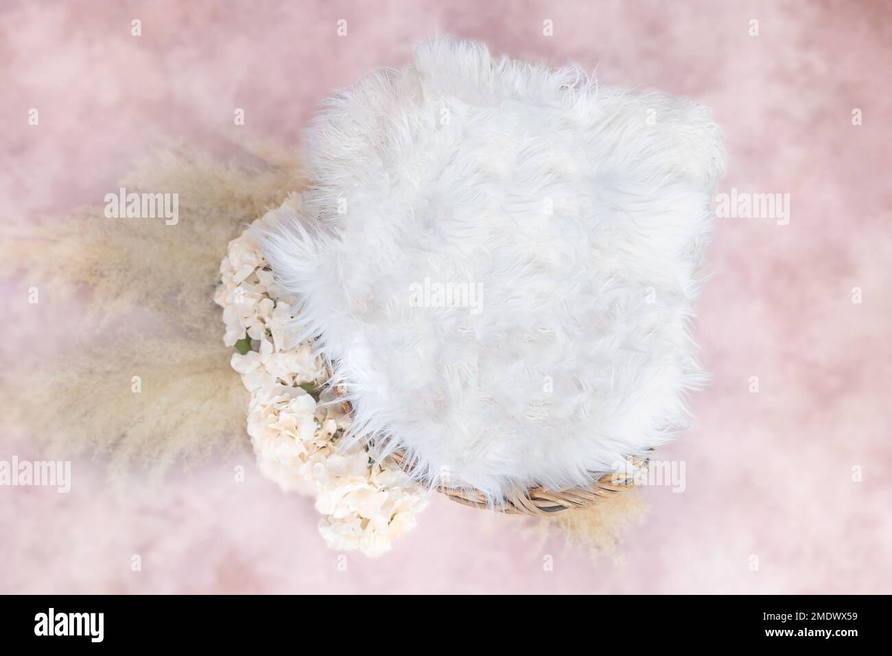 Newborn Photography Cloudy Pink boho Digital background with authentic boho grass and Hydrangeas Stock Photo