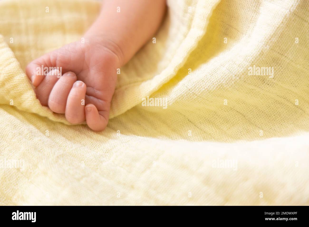 Tiny babies arm hi-res stock photography and images - Alamy