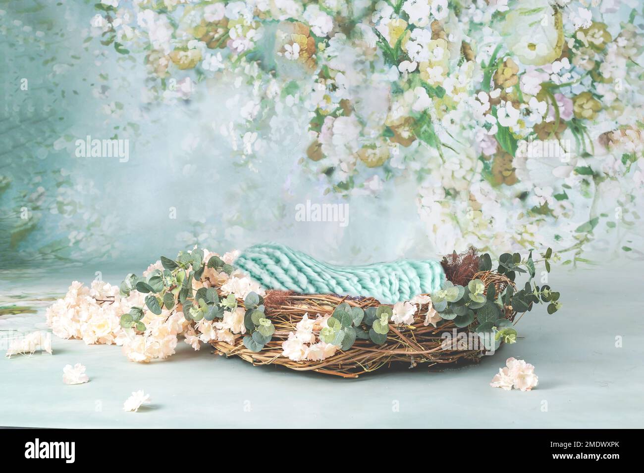 Digital Photography Backgrounds