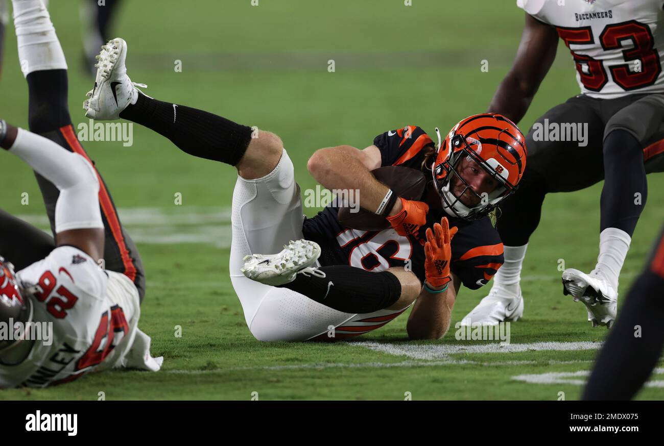 Cincinnati Bengals wide receiver Trenton Irwin (16) makes a catch for a  touchdown during an NFL football game against the Cleveland Browns,  Tuesday, Dec. 13, 2022, in Cincinnati. (AP Photo/Jeff Dean Stock