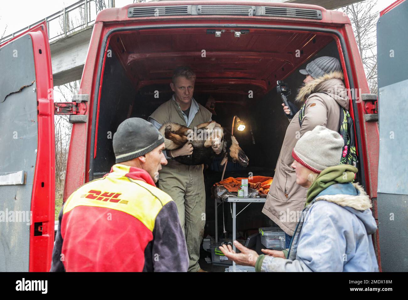 KHERSON, UKRAINE - JANUARY 22, 2023 - A UK volunteer, Dr. Scott Miller stirilizes a dog in the field in a van, Kherson, southern Ukraine. Stock Photo