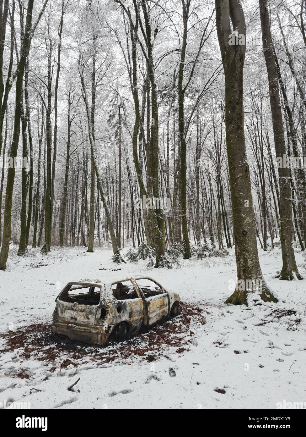 Car found in forest hi-res stock photography and images - Alamy