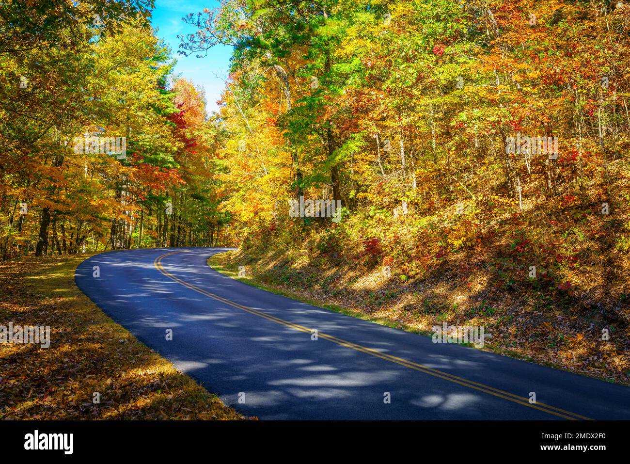 Blue Ridge Parkway winding through the woods in fall near Asheville, North Carolina Stock Photo