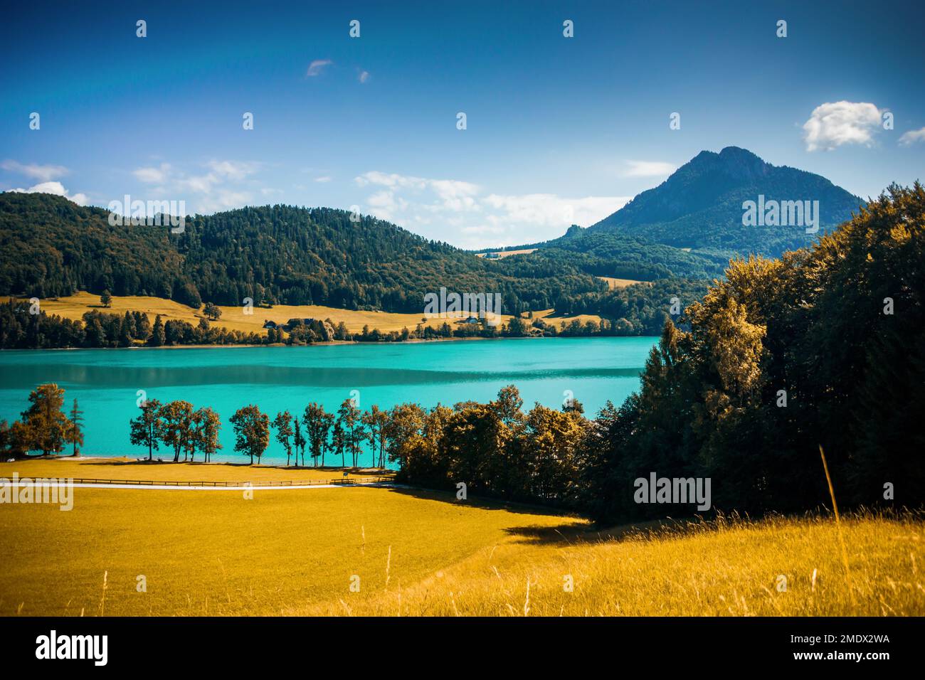 View of alpine meadow, Fuschlsee lake and mountains on a sunny autumn day Stock Photo