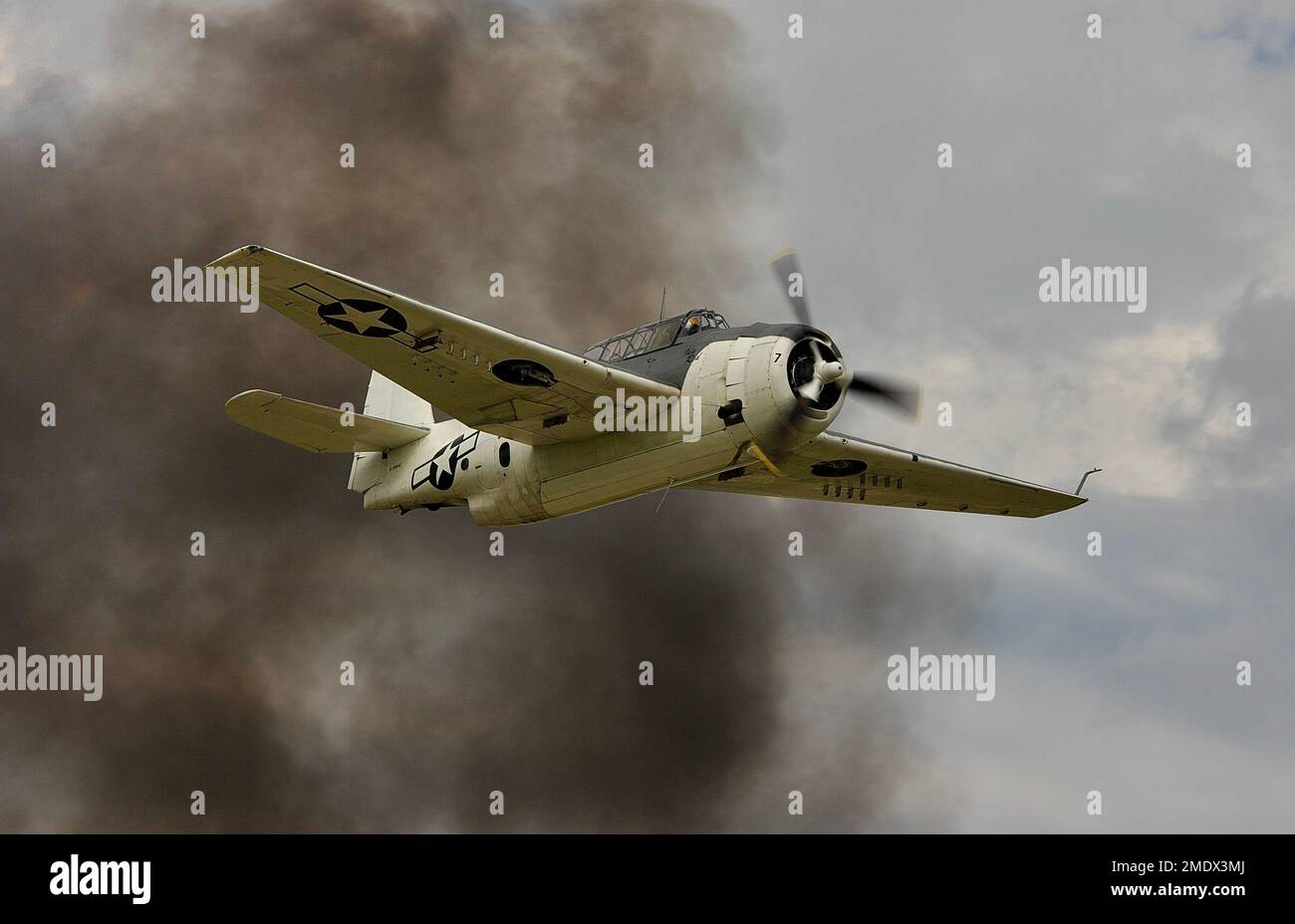 Grumman TBF, TBM Avenger Stock Photo