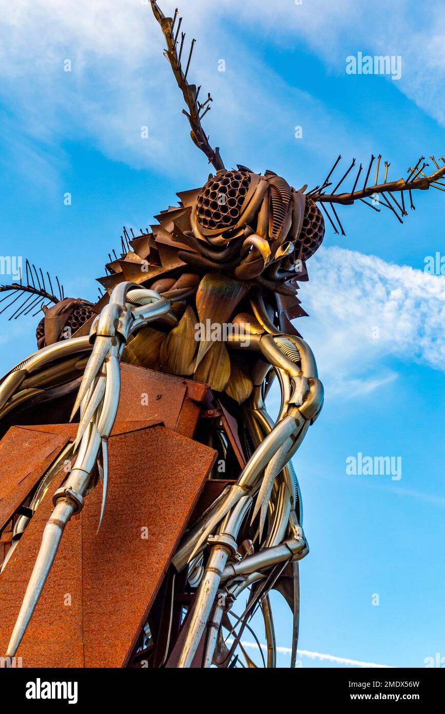 Le Attrata by Margaret Long & Orion Fredericks at the Radical Horizons Exhibition of Burning Man Festival Sculptures at Chatsworth Derbyshire UK 2022 Stock Photo