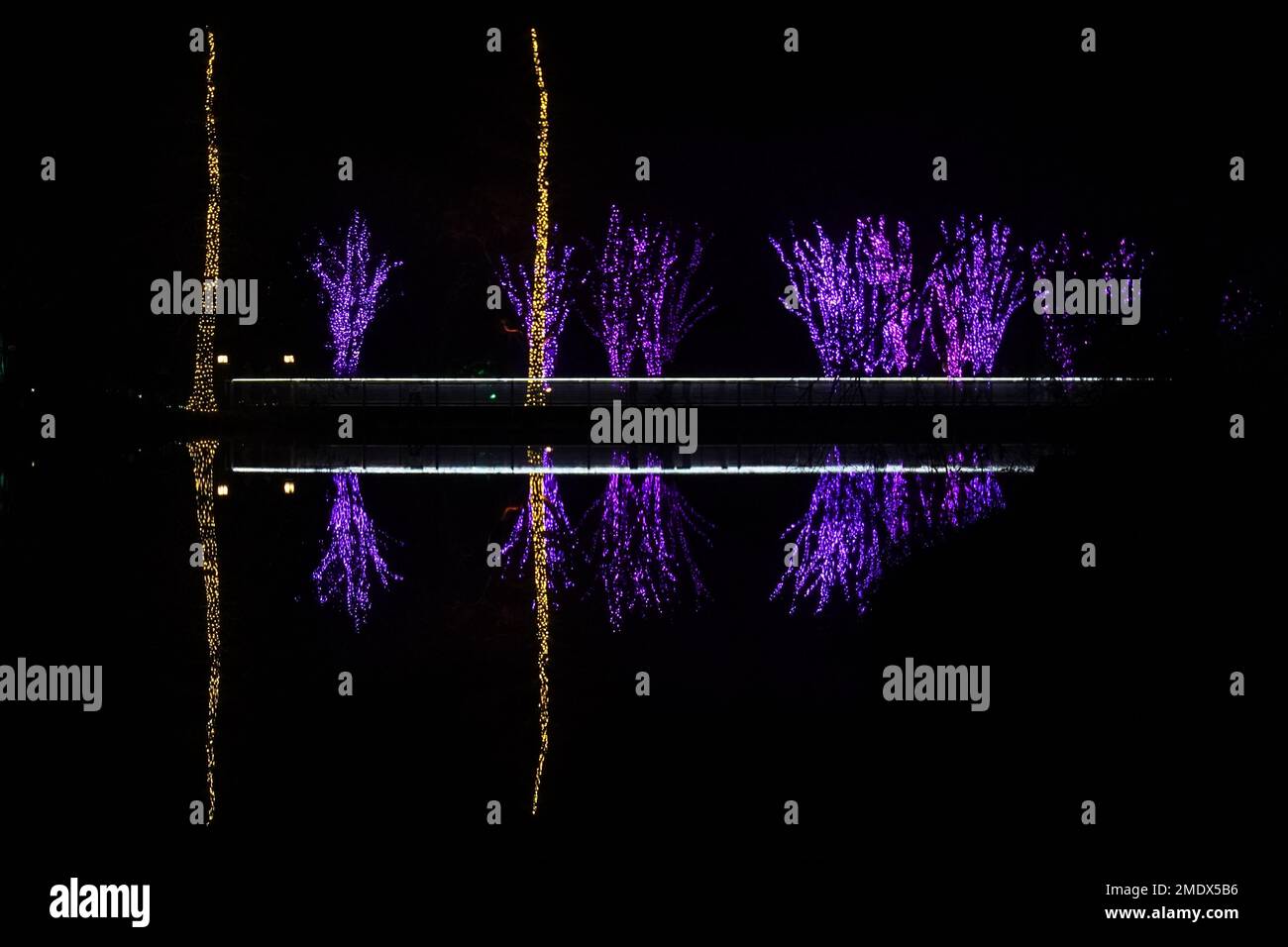 Christmas Lights reflected in a lake at Lewis Ginter Botanical Gardens