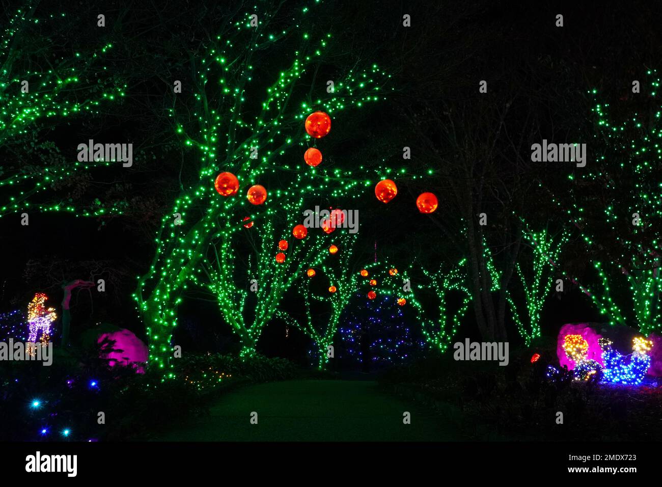 Trees Covered with Green and Orange Holiday Lights Stock Photo - Alamy
