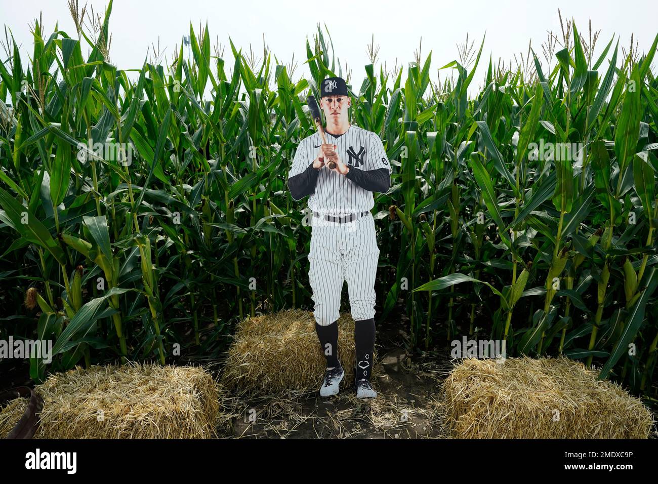 A cutout of New York Yankees right fielder Aaron Judge stands in a