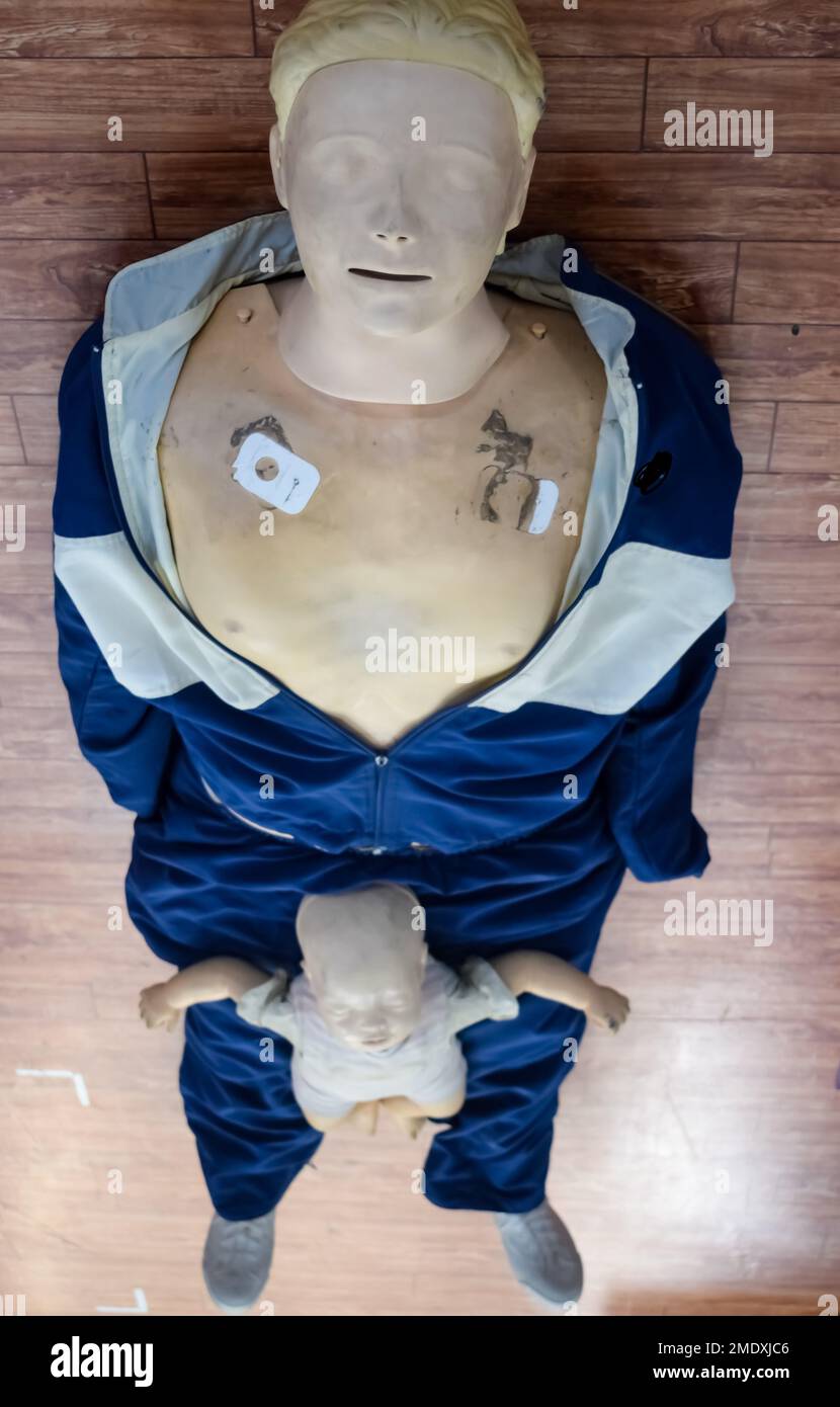 Human dummy lies on the floor during first Aid Training - Cardiopulmonary resuscitation. First aid course on CPR dummy, CPR First Aid Training Concept Stock Photo