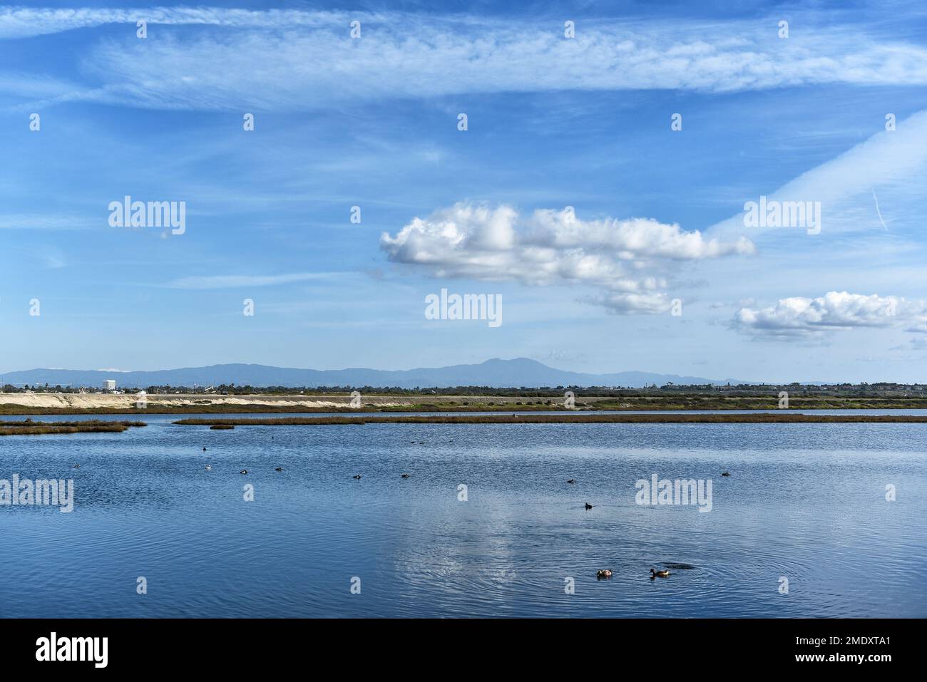 The Bolsa Chica Ecological Reserve, the largest saltwater marsh along the coast of California, with the Santa An Mountains in the distance, Stock Photo