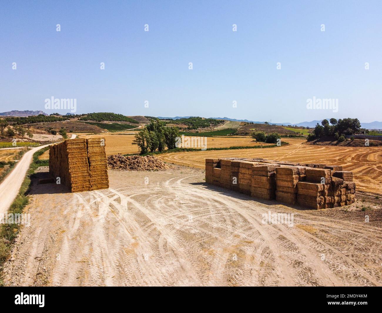 Harvesting the hay fields. Haystack in the meadow. Straw bales on a