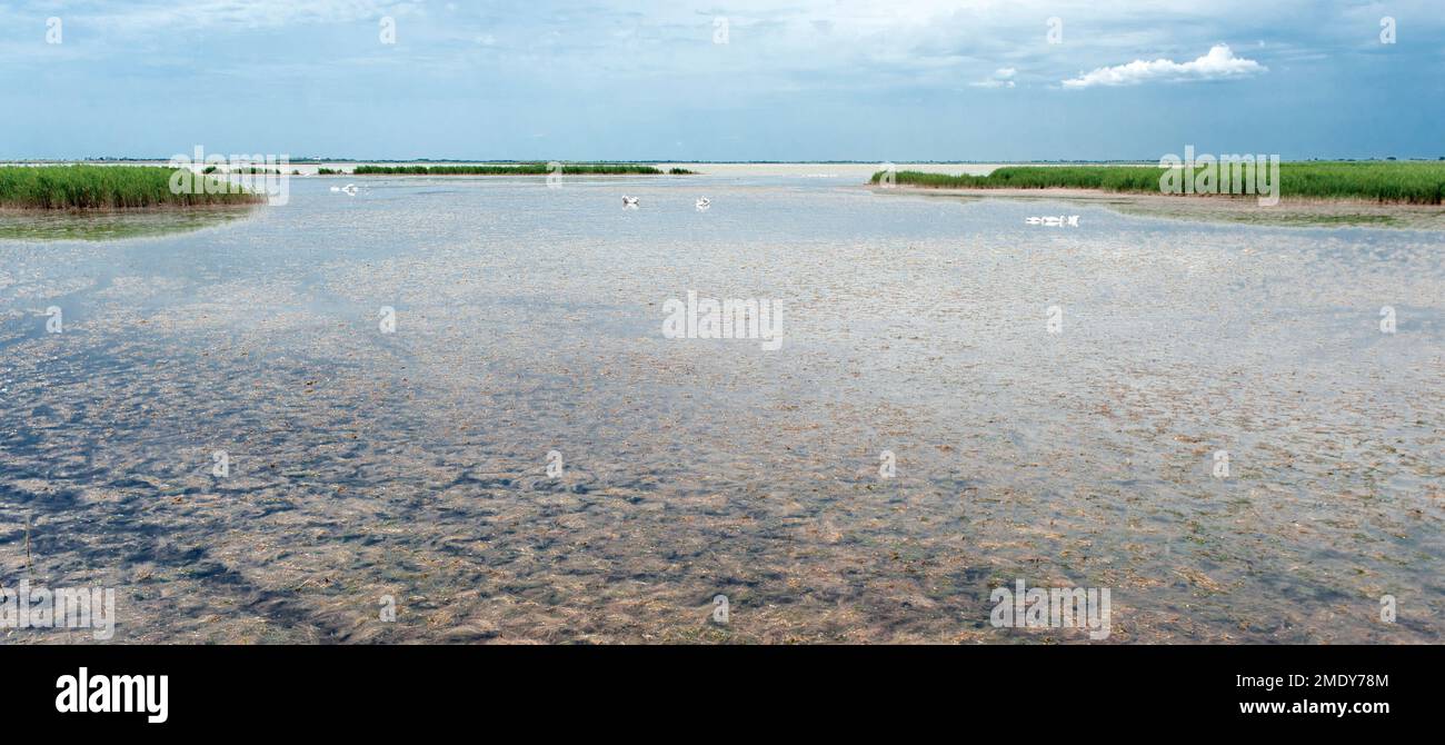 The Étang de Vaccarès, a large nature-protected lake in the Camargue wetlands of southern France Stock Photo