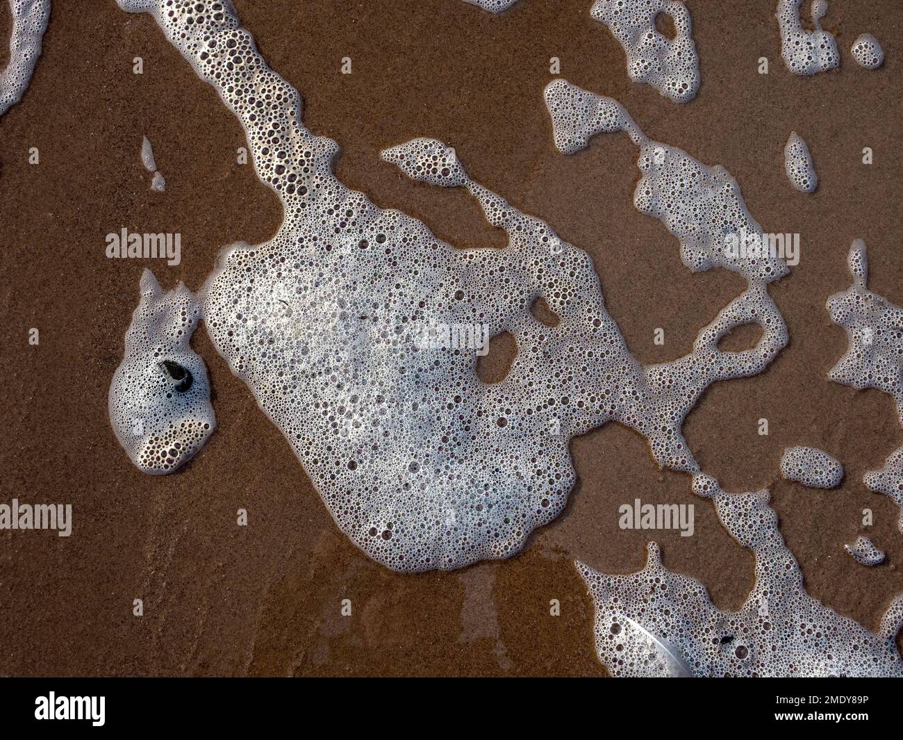 White sea foam on the sand forming abstract patterns typical UK colored sand and cold icy waters