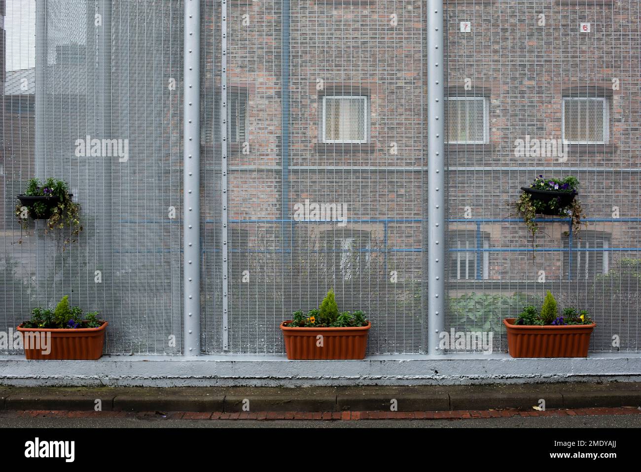 Recently planted flower boxes within the precincts of HMP Liverpool