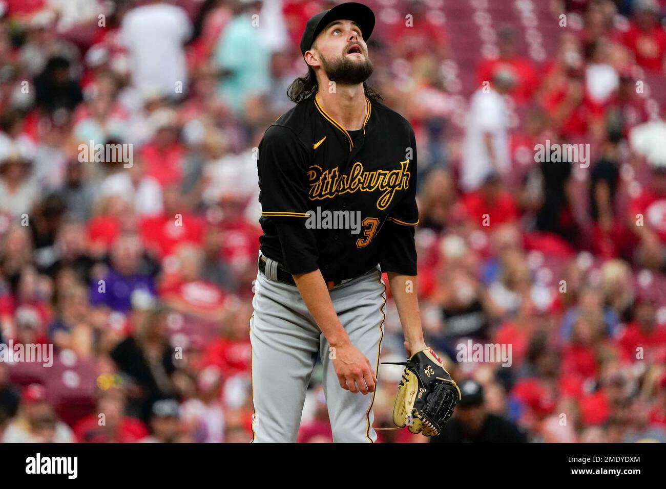 Milwaukee Brewers' Jesse Winker stands in the dugout during a baseball game  against the Cincinnati Reds in Cincinnati, Friday, June 2, 2023. (AP  Photo/Jeff Dean Stock Photo - Alamy