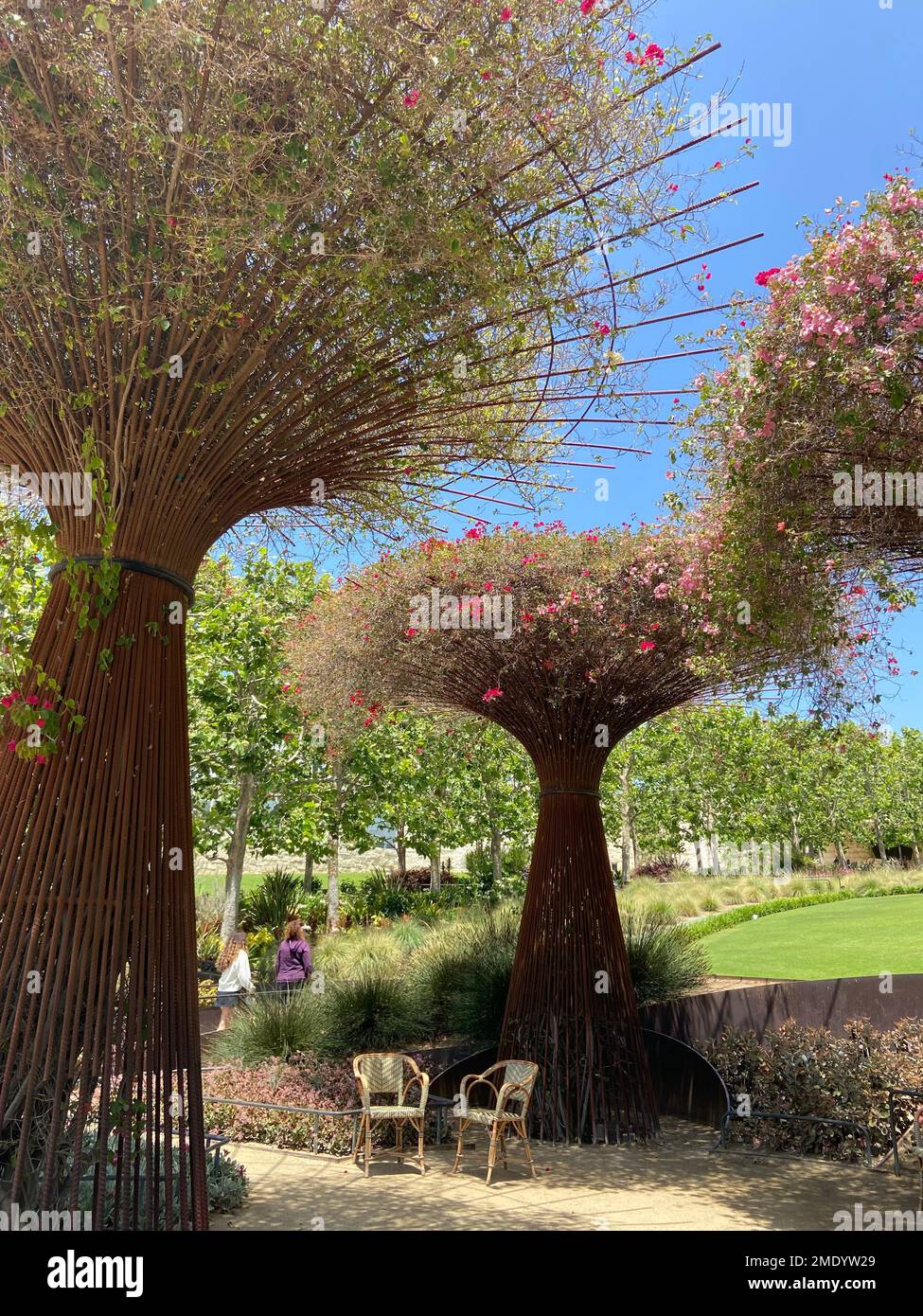 Decorative trees hi-res stock photography and images - Alamy
