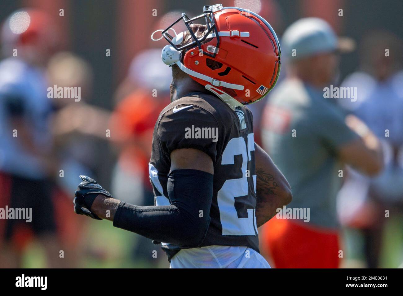 Cleveland Browns quarterback Charlie Frye is chased by Pittsburgh Steelers  defensive back Troy Polamalu in the second quarter. The Steelers defeated  the Browns, 24-20, at Cleveland Browns Stadium in Cleveland, Ohio, Sunday