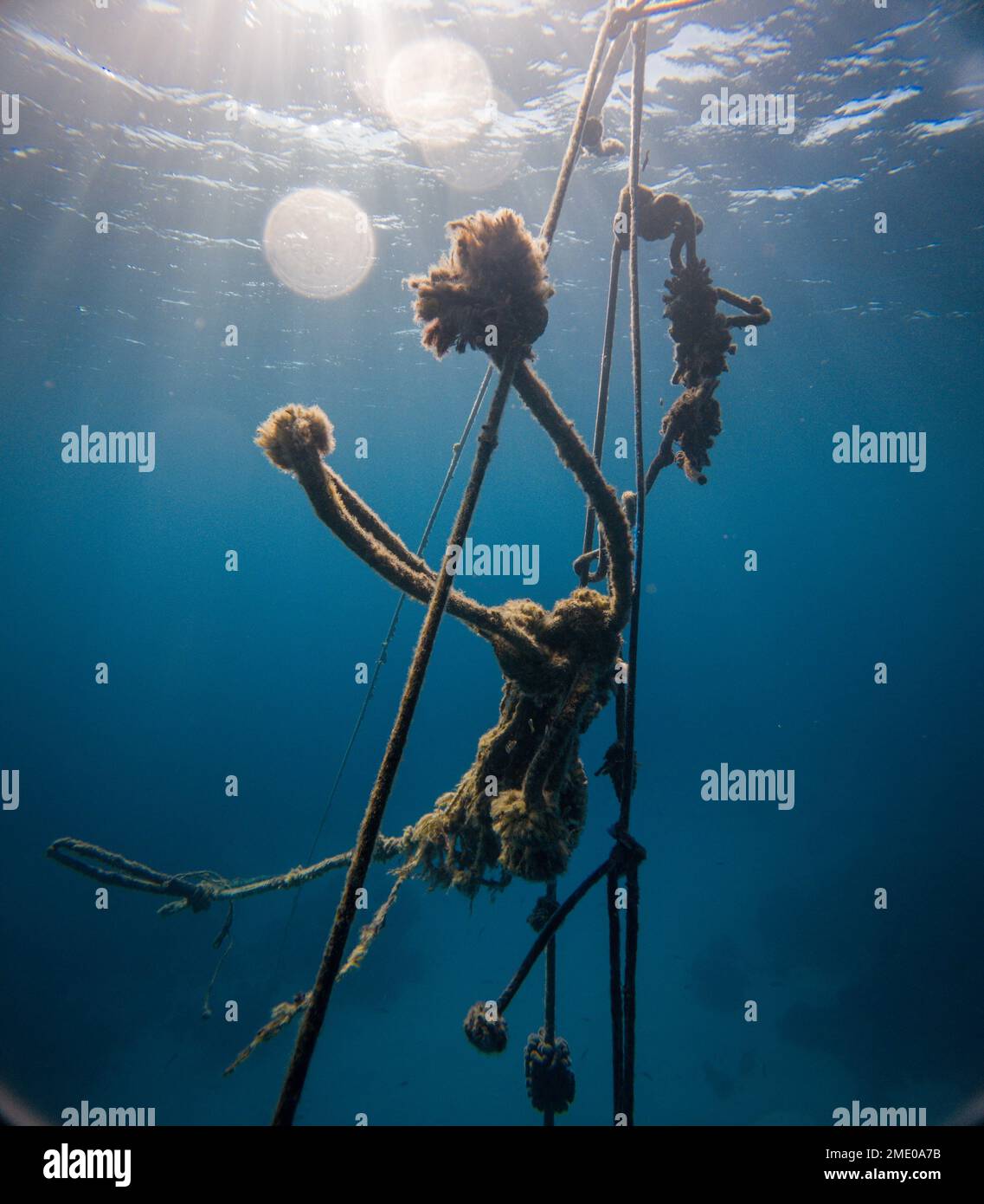 Rope underwater hi-res stock photography and images - Alamy