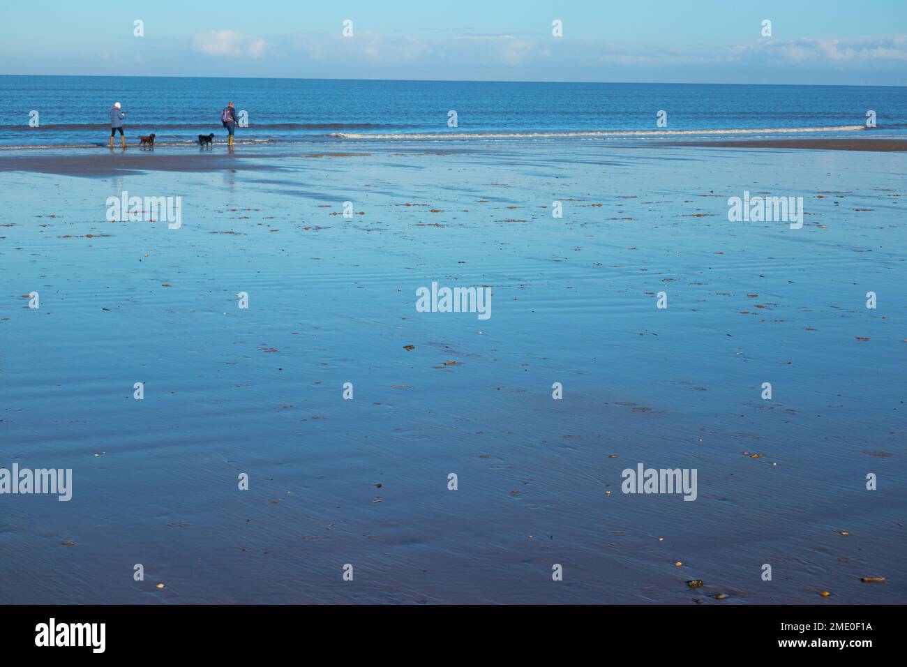 Blue coloured wet sand and sea with winter walkers and dogs Wells on Sea North Norfolk East Anglia England4 Stock Photo