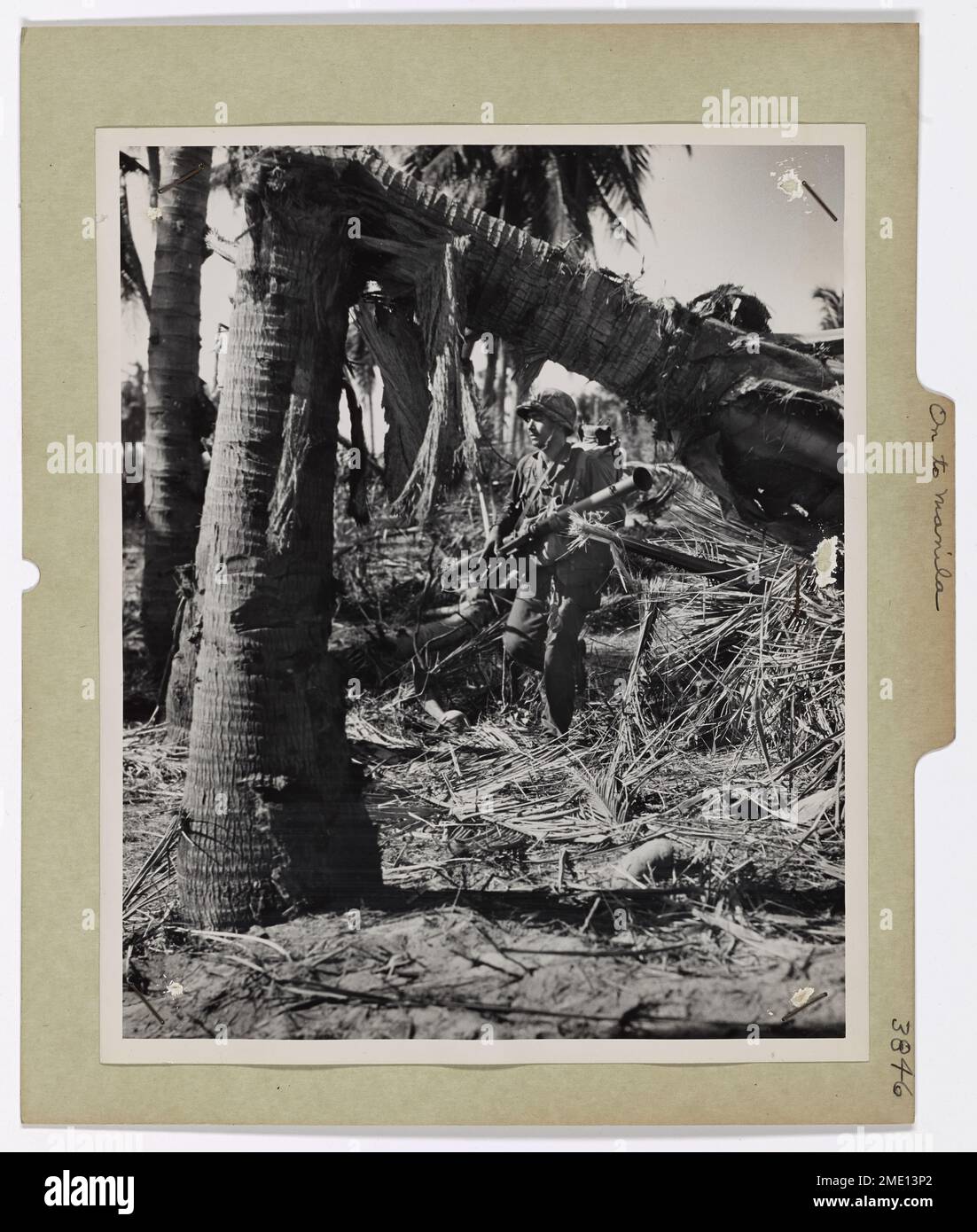 An American soldier armed with a bazooka advances through bomb-riddled palm trees on the Luzon island, moving toward Manila, following a devastating bombardment by a U.S. Navy task force. This photo captures the momentum of the Luzon invasion during WWII. Stock Photo