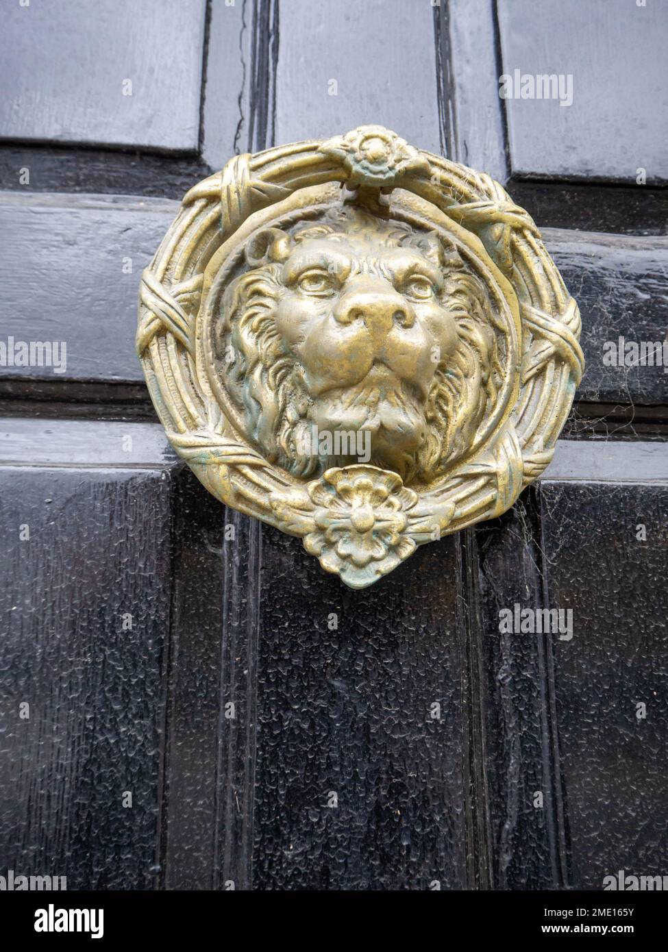 Historical style door furniture, round brass lions head circular door knocker on a black wooden door Stock Photo