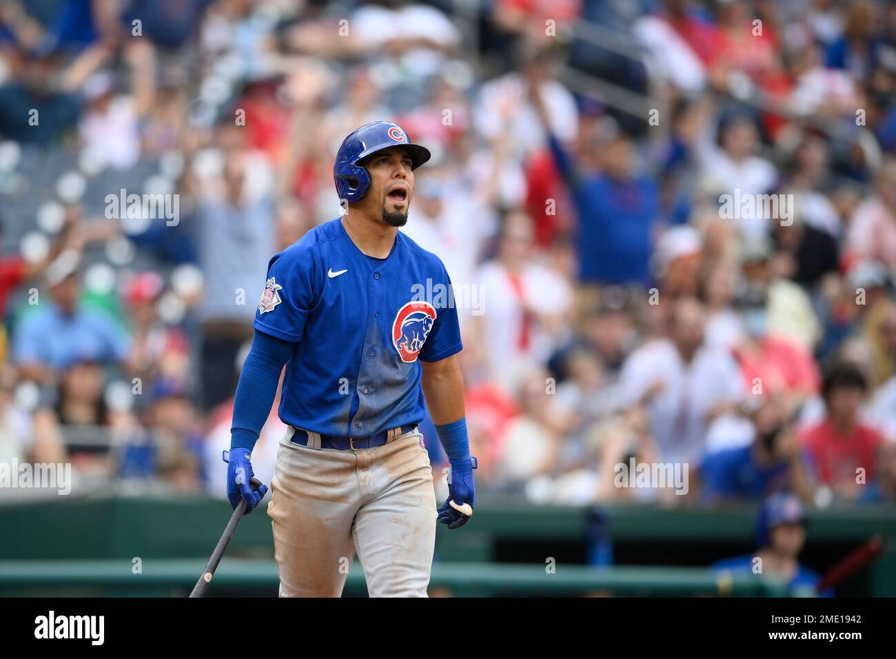 Chicago Cubs Rafael Ortega (66) bats during a Major League Baseball game  against the Cincinnati Reds on September 8, 2022 at Wrigley Field in  Chicago, Illinois. (Mike Janes/Four Seam Images via AP