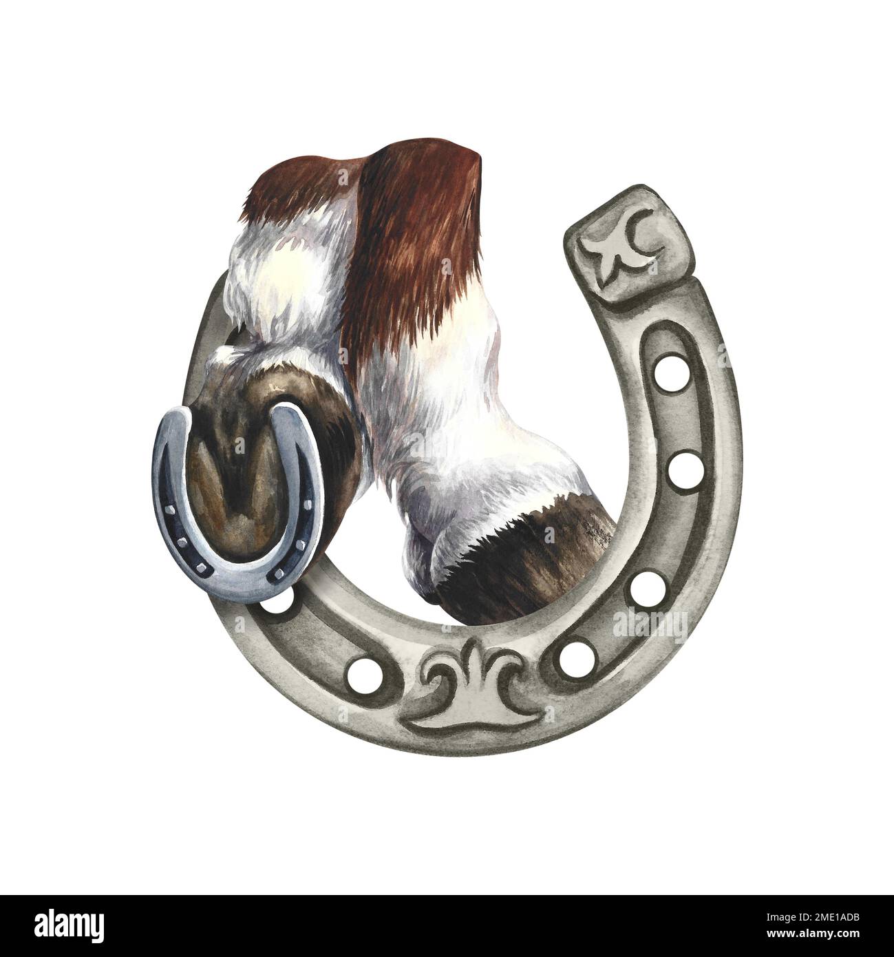 Horse hooves with a horseshoe. Watercolor illustration. For printing, stickers and labels. For postcards, business cards and packaging. For banners po Stock Photo
