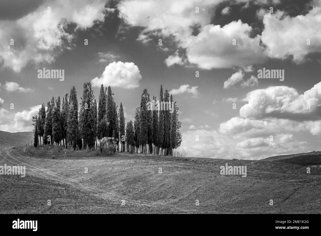 The iconic circle of cypress trees in Tuscany's Val d'Orcia; the most photographed trees in the world. Italy. Stock Photo