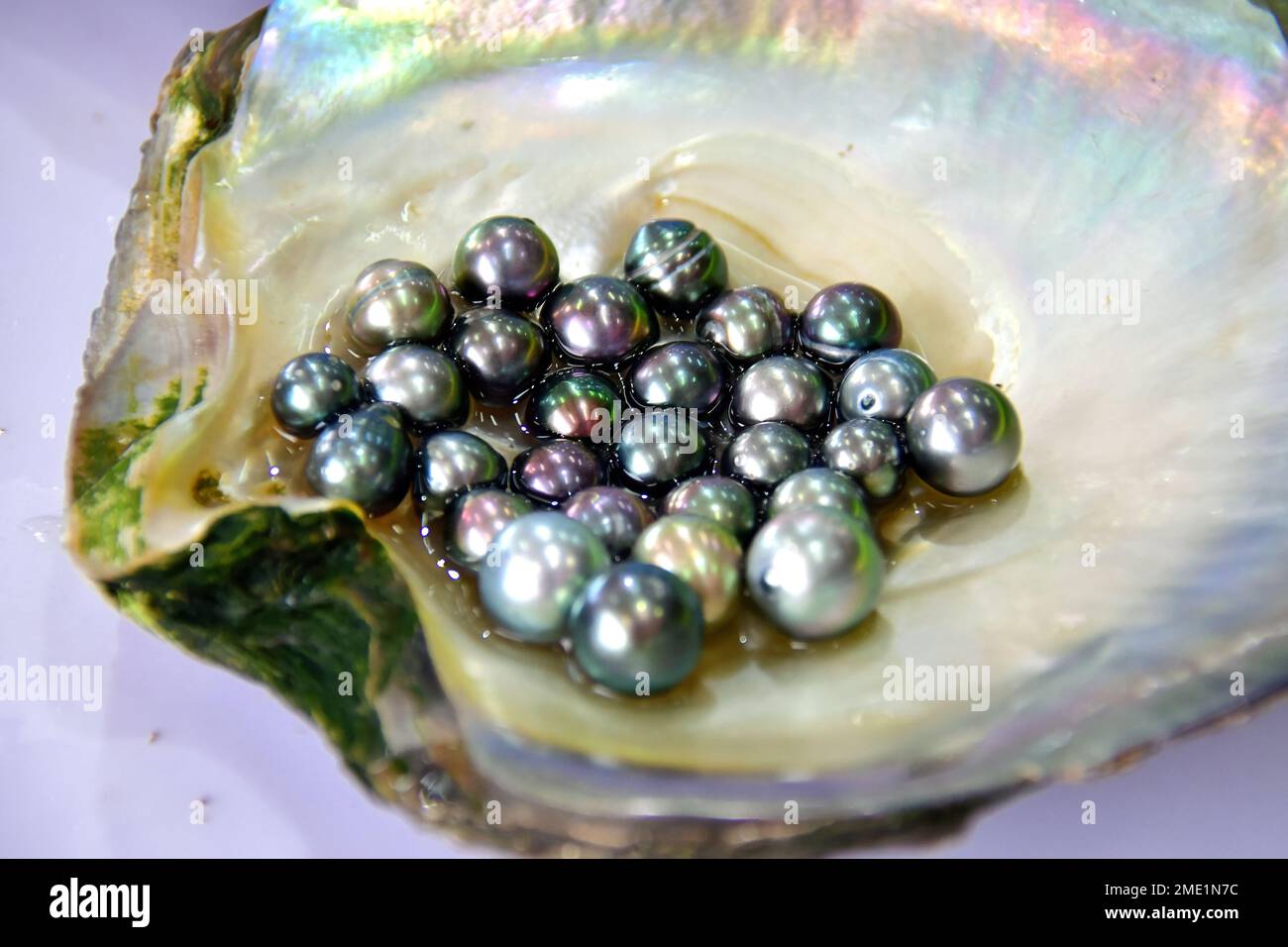 pearls, pearl farm at Halong Bay, Vietnam, Asia Stock Photo Alamy
