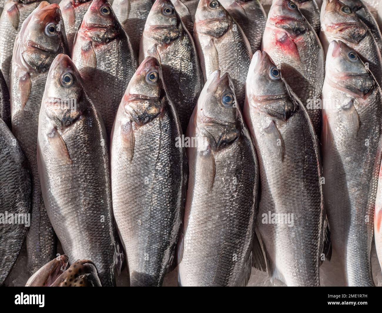 Fresh fish on counter in store or supermarket. Seafood natural products Stock Photo Alamy